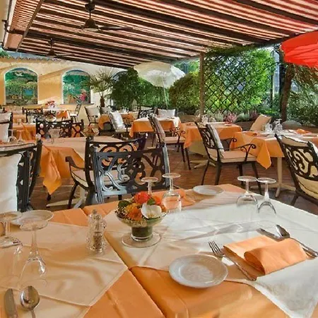 Polo Ascona